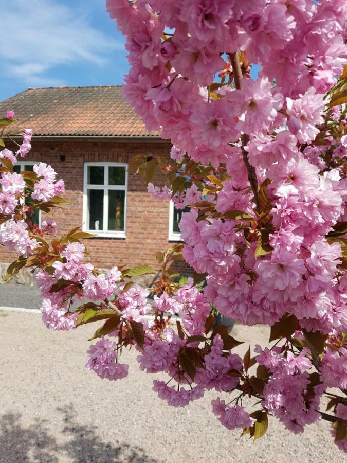 Horlinge Guesthouse Finja 外观 照片